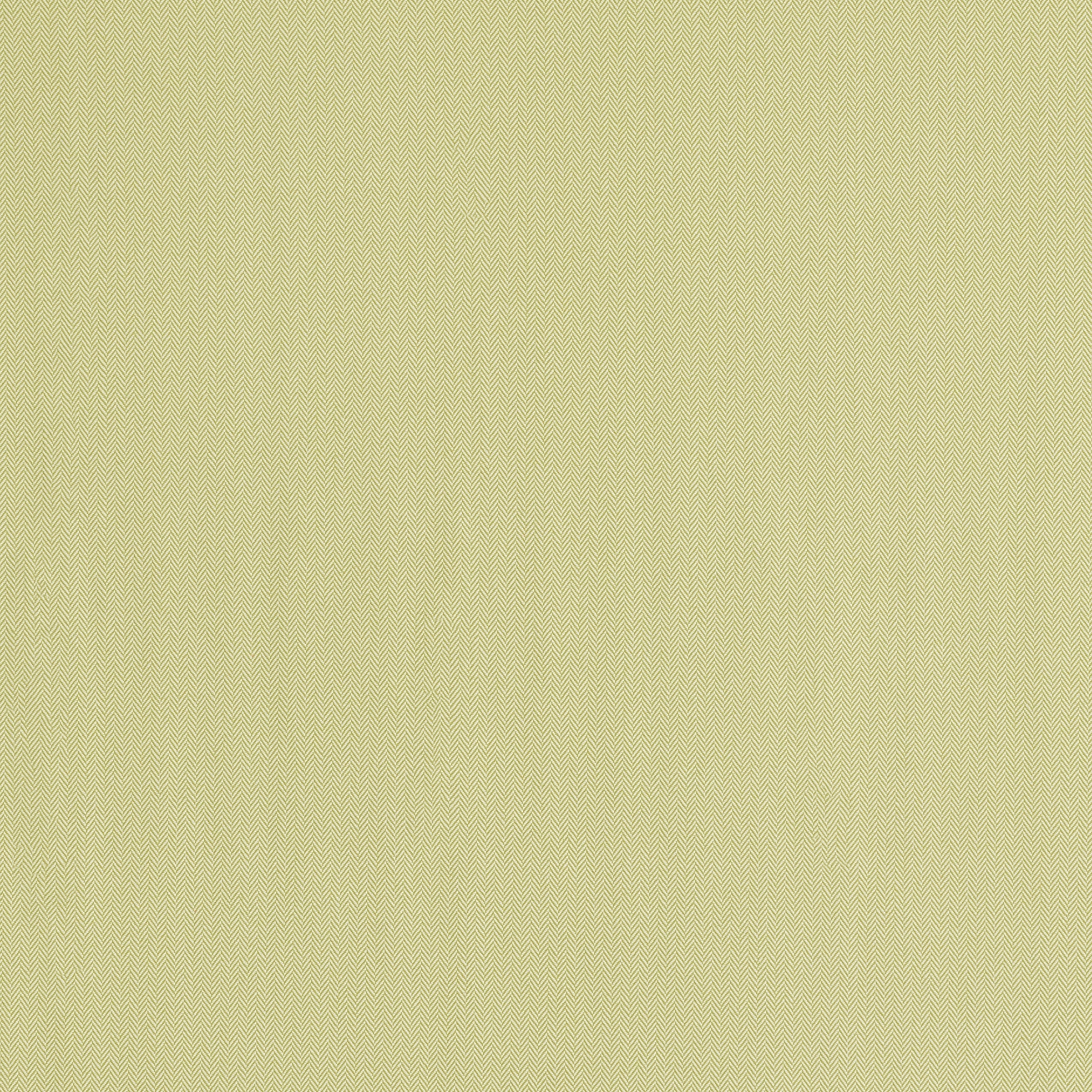 Seat Cushion - 19"D x 19"W x 2.5"H in Primary Colors Pistachio
